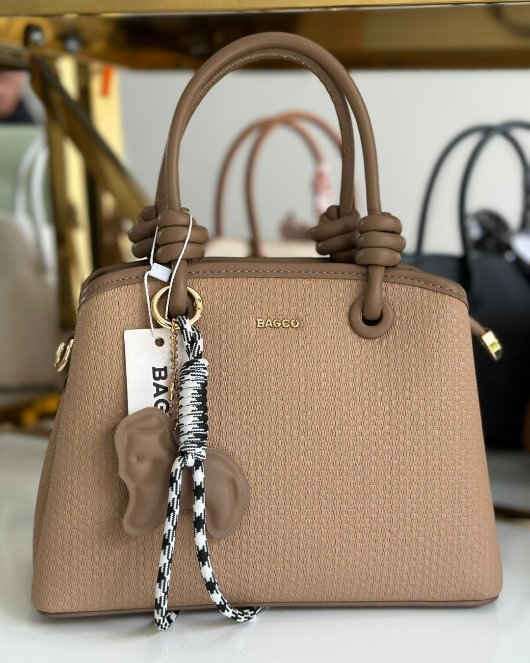 Baggo ref 1